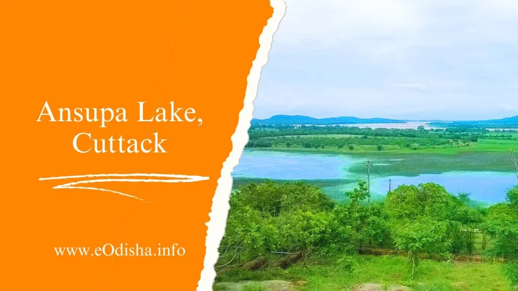 Ansupa Lake, Cuttack