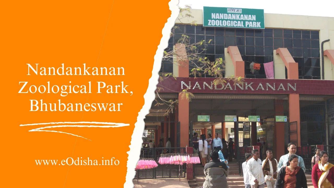 Nandankanan Zoological Park, Bhubaneswar