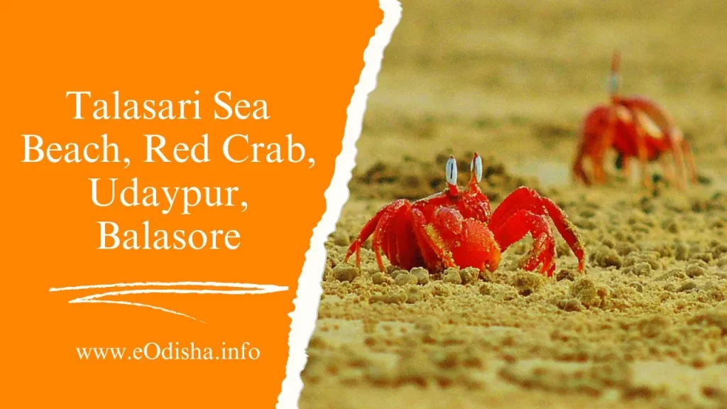 Talasari Sea Beach, Red Crab, Udaypur, Balasore