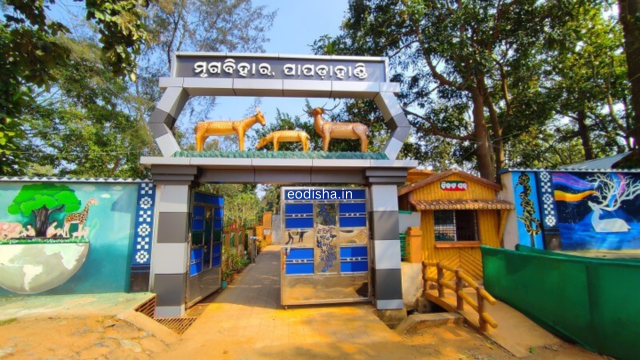 Ambapani Wildlife Sanctuary (2)