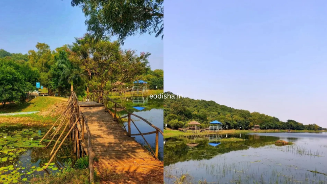 Ansupa Lake & Nature Camp (5)