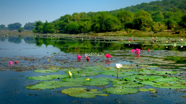 Ansupa Lake & Nature Camp
