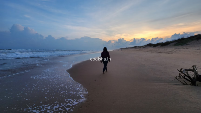 Astaranga Sea Beach (4)