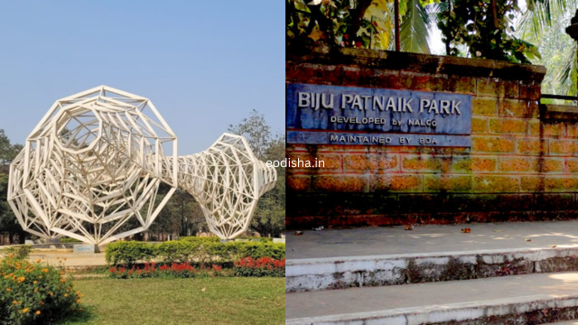 Biju Patnaik Park, Forest Park (2)