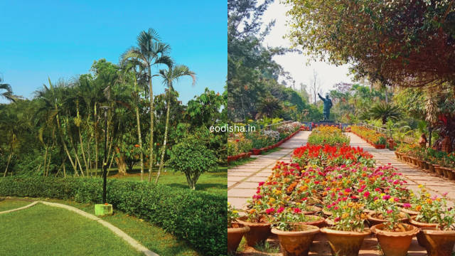 Biju Patnaik Park, Forest Park (3)