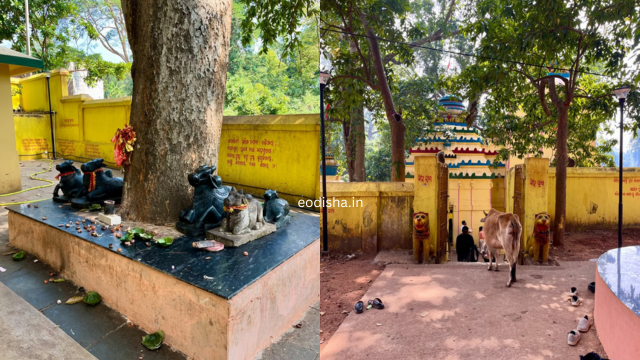 Brahmeswar Mahesh Temple (2)
