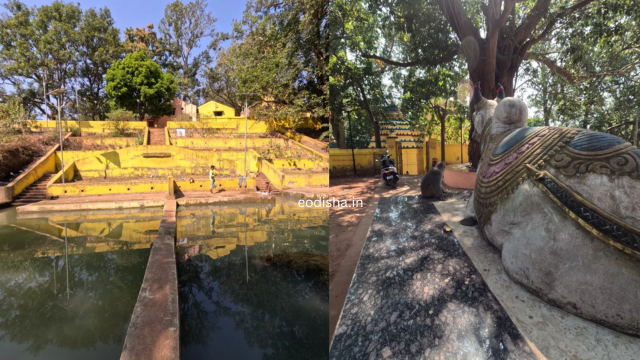 Brahmeswar Mahesh Temple (3)