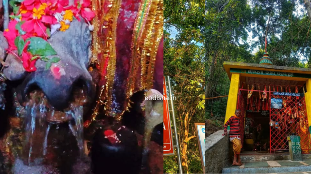 Brahmeswar Mahesh Temple (4)