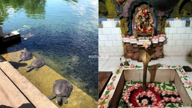 Champanath Temple, Champeswar (3)