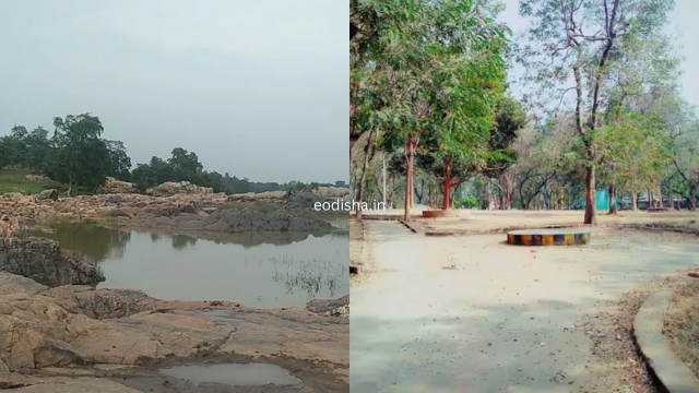 Darjing Picnic Spot (4)