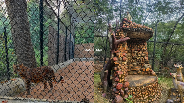 Deer & Zoological Park, Sakhipara (3)
