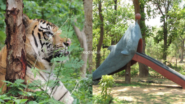Deer & Zoological Park, Sakhipara (4)