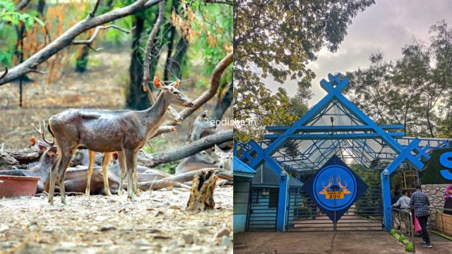 Deer & Zoological Park, Sakhipara