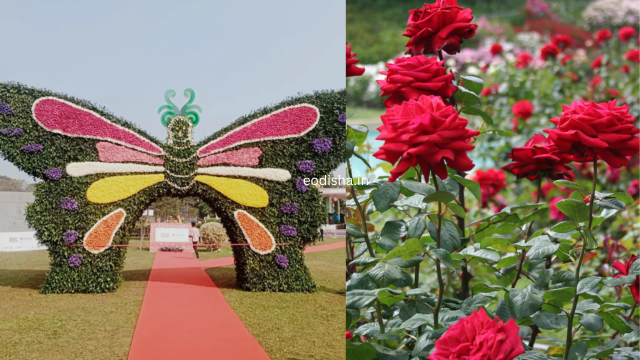 Ekamra Kanan Botanical Gardens (5)