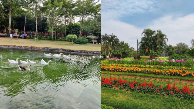 Jaydev Vatika & Jayadev Park (3)