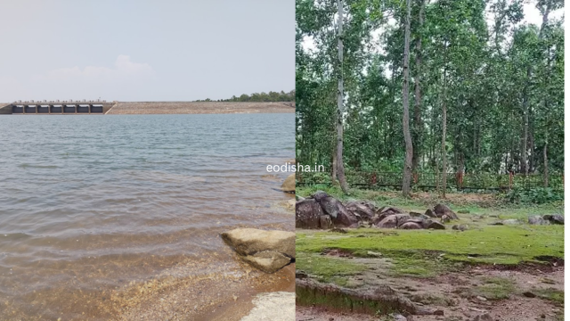 Kanjhari Dam & Picnic Spot (4)
