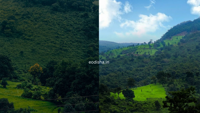 Kanjipani Ghati & Hill Station