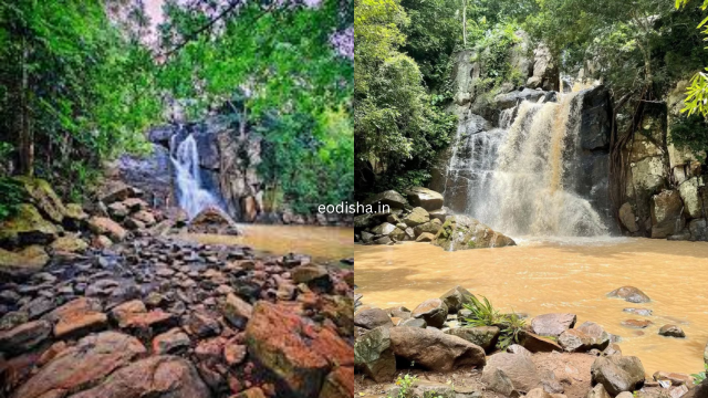 Midubanda Waterfall, Daringbadi (2)