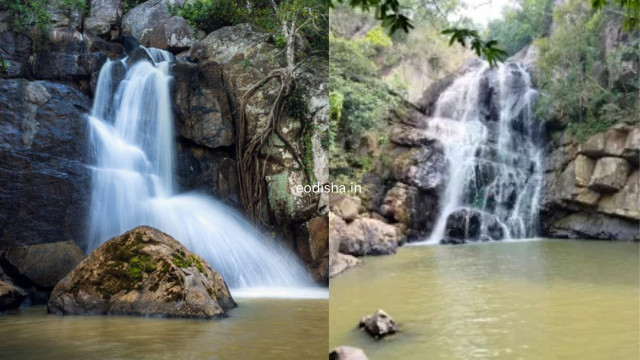 Midubanda Waterfall, Daringbadi (3)