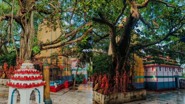 Olasuni Temple, Hill, Cave & Nature Camp (6)