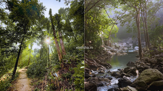 Pakdajhar Waterfall, Kurumuni (5)