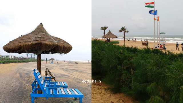 Penthakata Sea Beach, Puri (4)