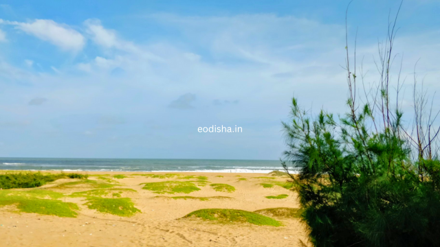 Pir Jahania, Astaranga, Puri 