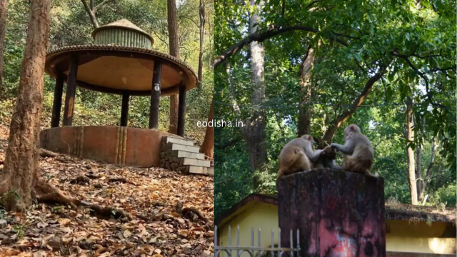 Pradhanpat Waterfall & Picnic Spot (3)