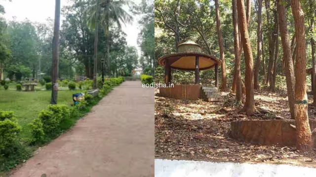 Pradhanpat Waterfall & Picnic Spot (4)