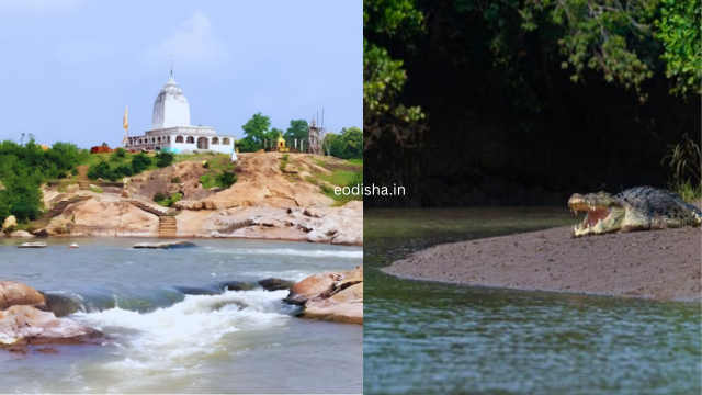 Ramatirtha Temple & Crocodile Project (2)