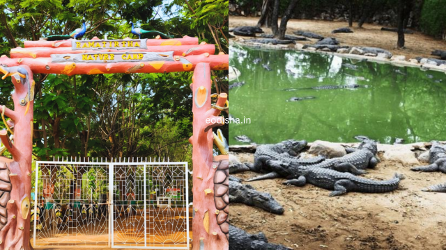 Ramatirtha Temple & Crocodile Project (3)