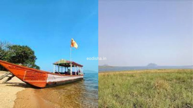 Rampaluga Picnic Spot (4)