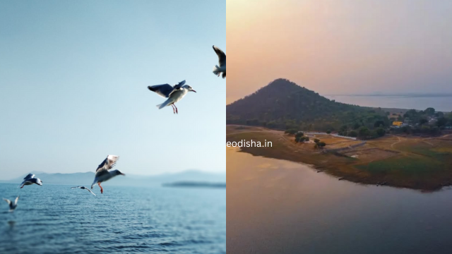 Rampaluga Picnic Spot