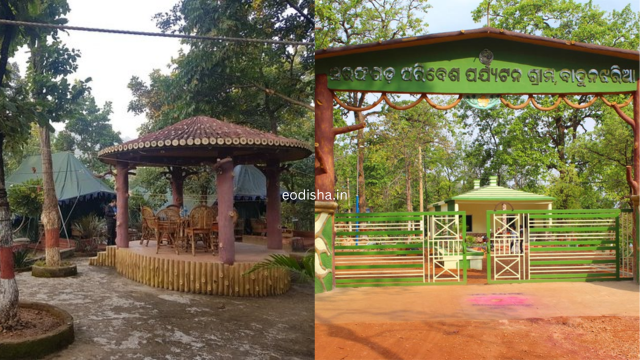 Sarafgarh Dam & Nature Camp (3)