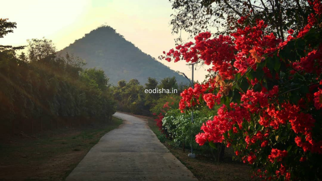 Sidhamula Nature Camp (3)