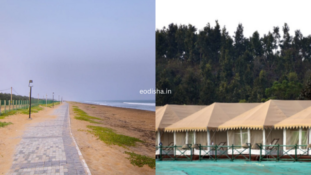Sunapur Beach Resort & Nature Camp (3)
