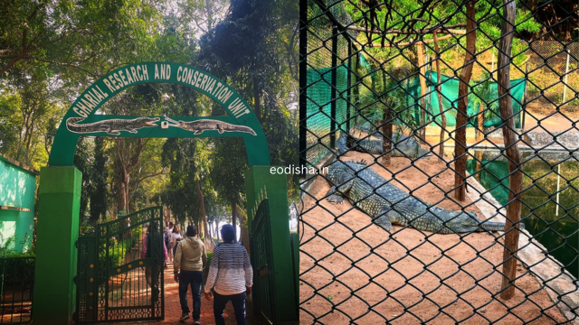 Tikarpada Wildlife Sanctuary (2)