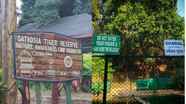Tikarpada Wildlife Sanctuary (3)